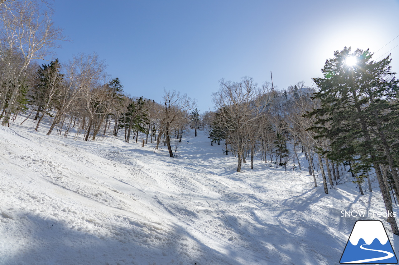 サッポロテイネ｜ついに…本格的な春シーズンが到来！ザクザク雪で凸凹な急斜面が楽しすぎる♪